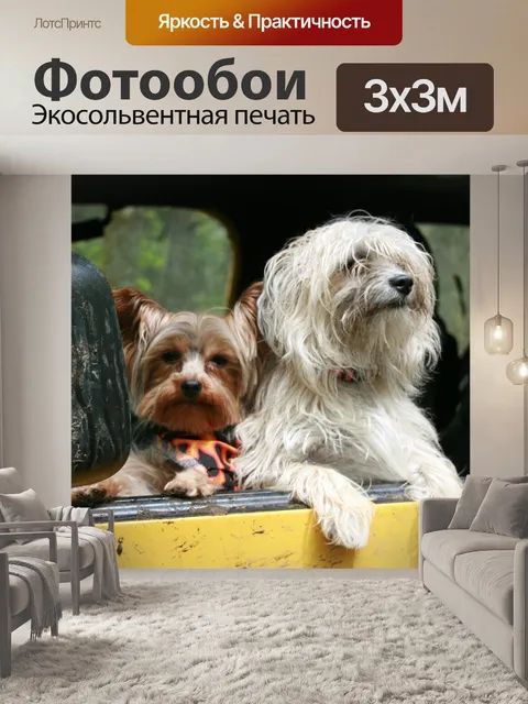 Фотообои Собаки