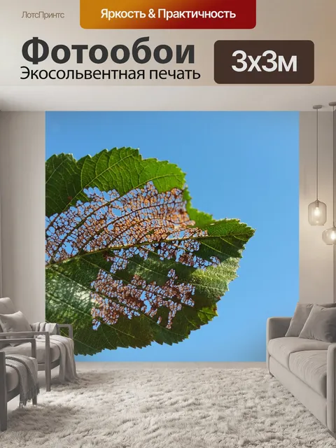 Фотообои Лист