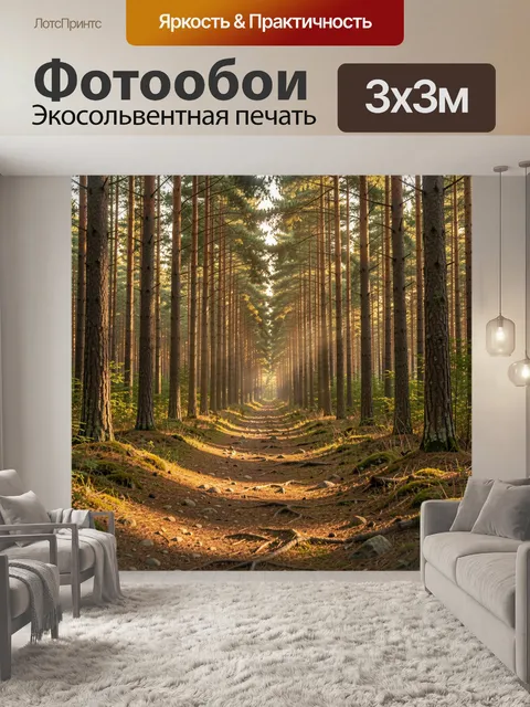 Фотообои Солнечная лесная тропа среди сосен