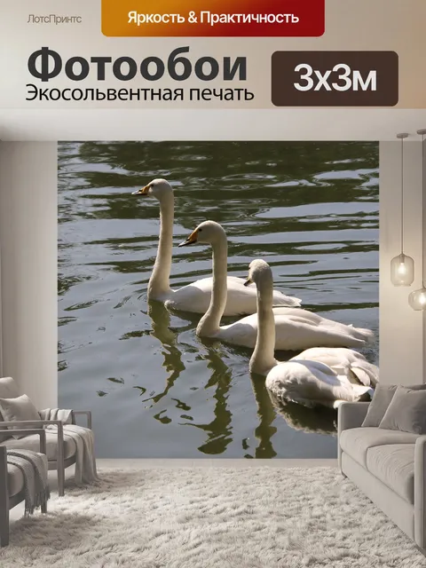 Фотообои Лебеди