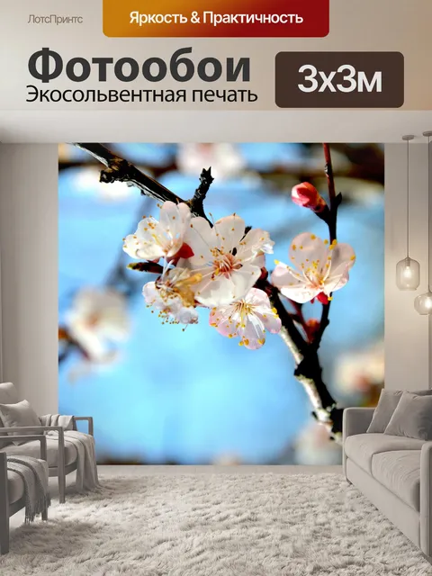 Фотообои Цветение вишни