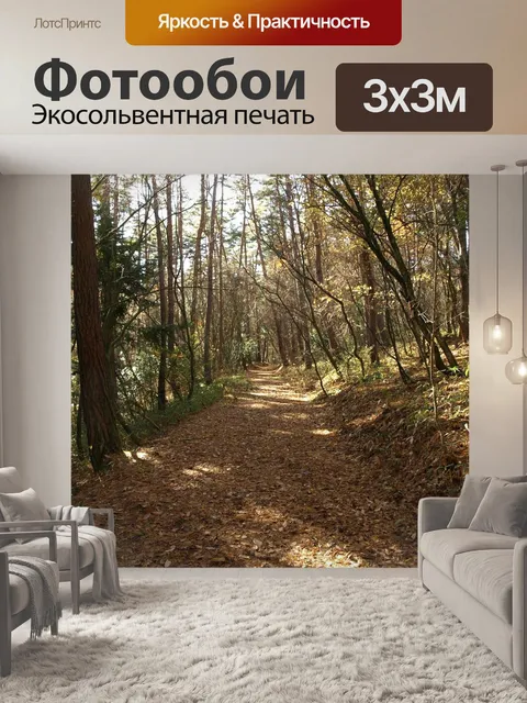 Фотообои Лес