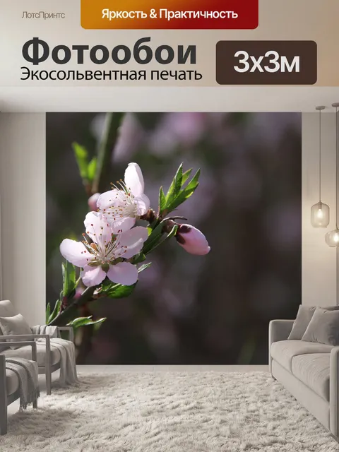 Фотообои Персиковые цветы