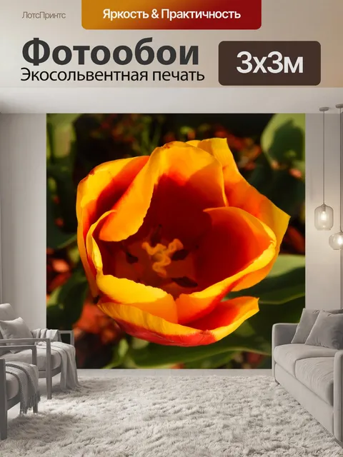 Фотообои Весна