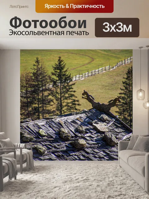 Фотообои Крыша