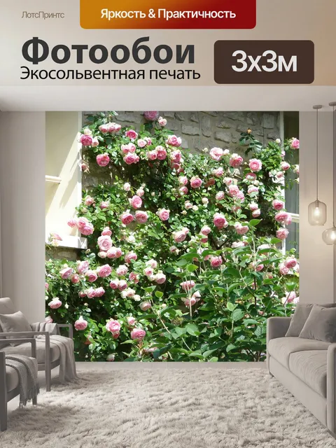 Фотообои Стена