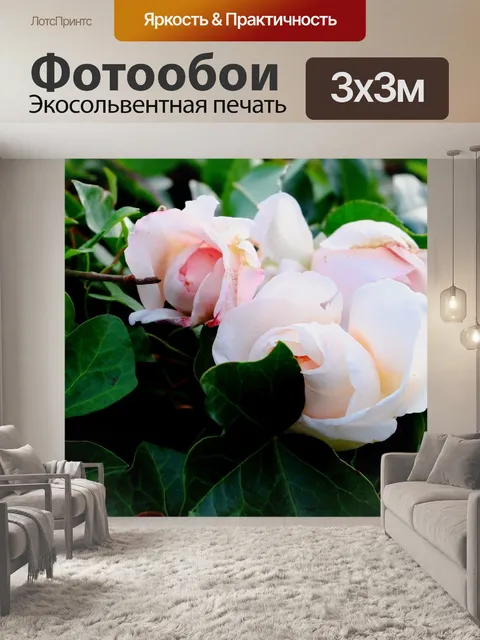 Фотообои Розы
