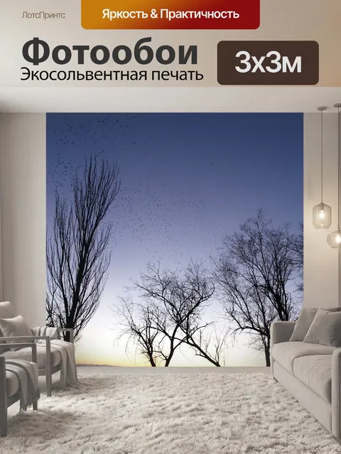 Фотообои Сумерки