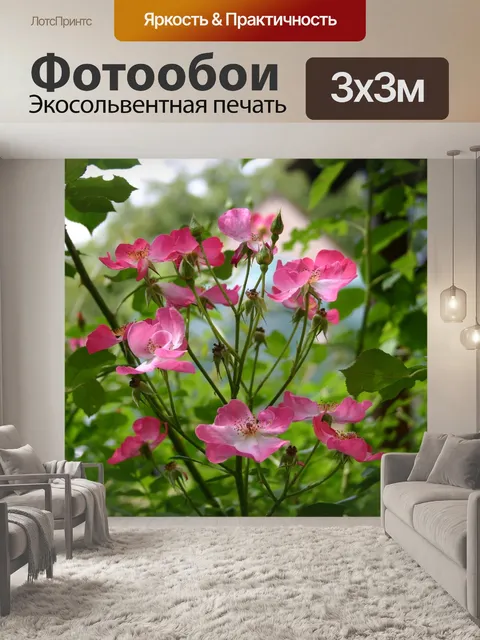 Фотообои Розы