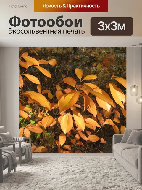 Фотообои Падение