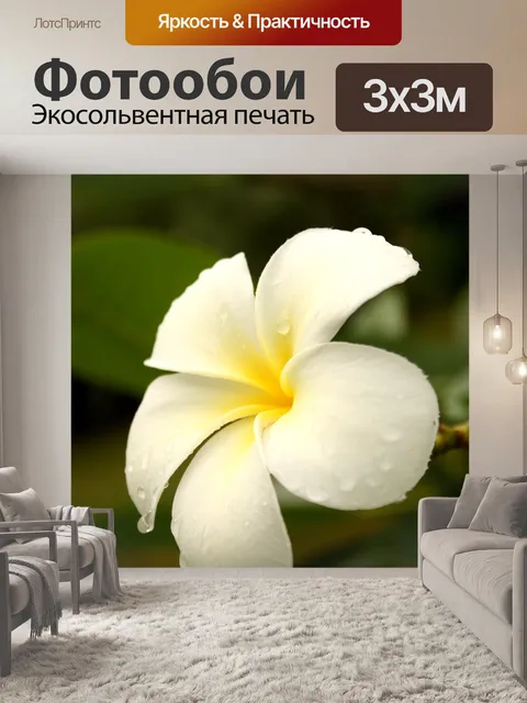 Фотообои Цветок