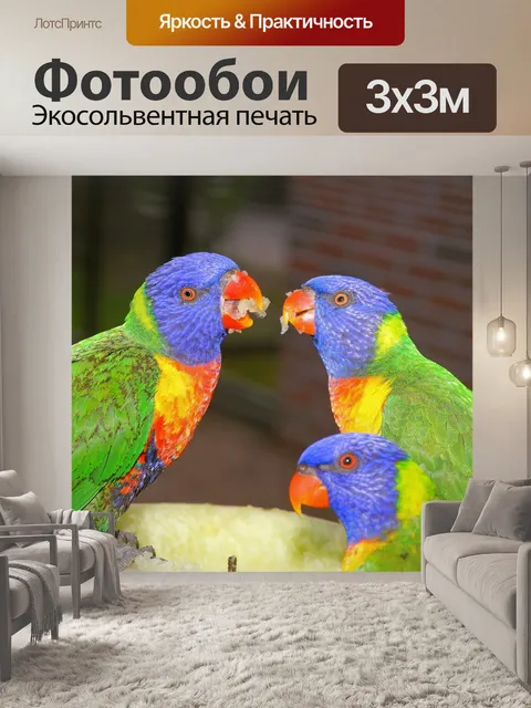 Фотообои Птицы