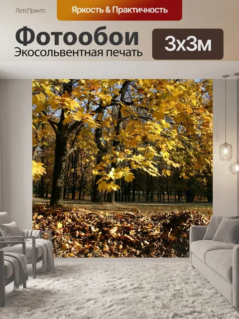 Фотообои Парк