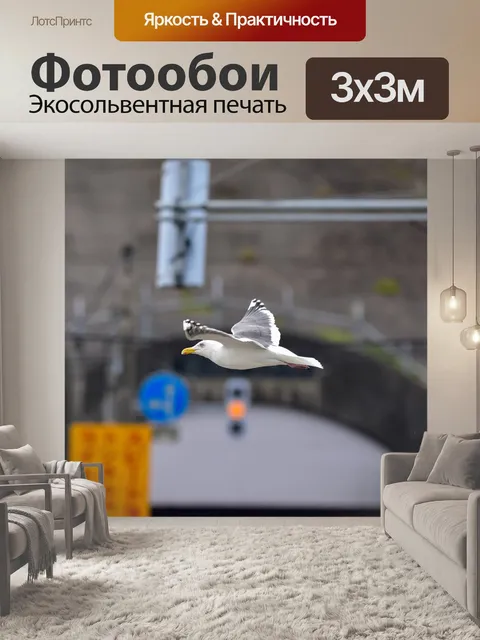 Фотообои Животное
