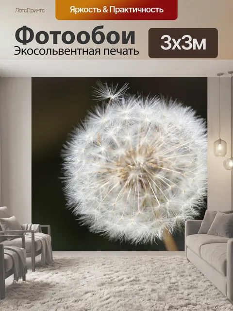 Фотообои Одуванчик