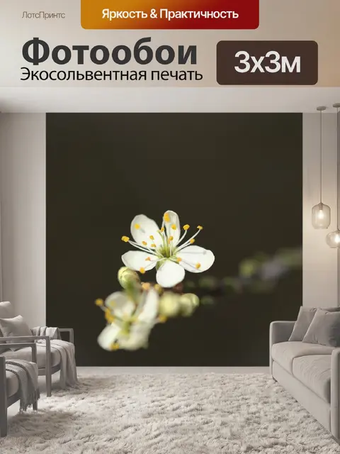 Фотообои Цветы