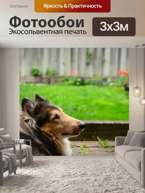 Фотообои Животное