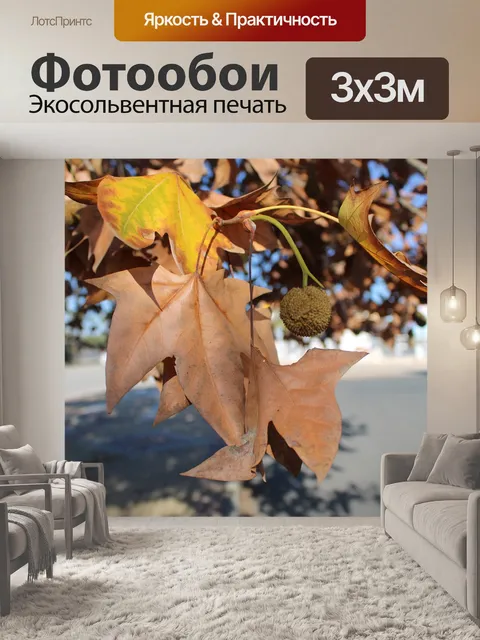 Фотообои Листы