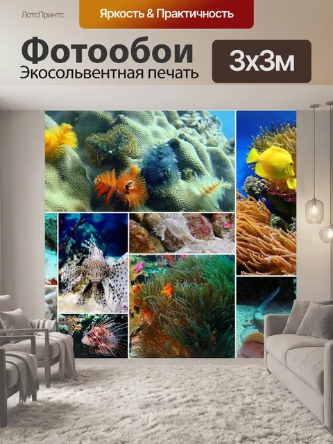Фотообои Рыбный коллаж
