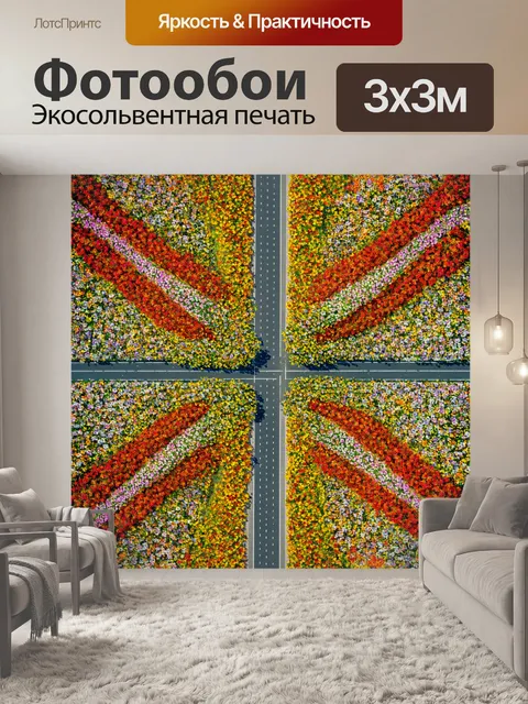 Фотообои цветы в стиле сюрреализм, цветы на фоне пересекающихся дорог, выбор и направление, символизм