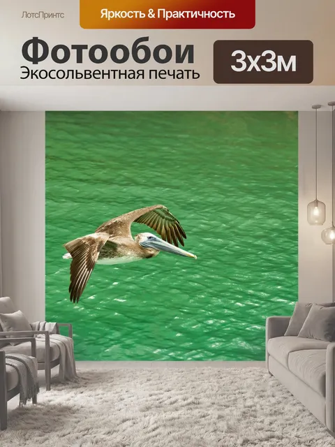 Фотообои Птица