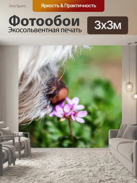 Фотообои Цветок