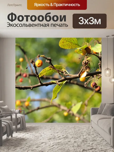 Фотообои Дерево