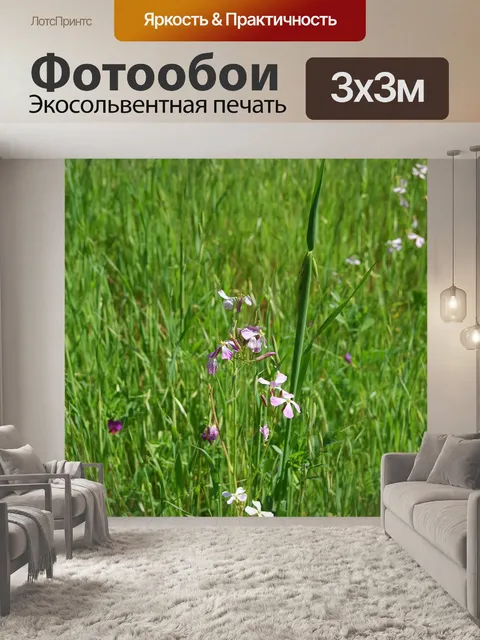 Фотообои Безмятежный