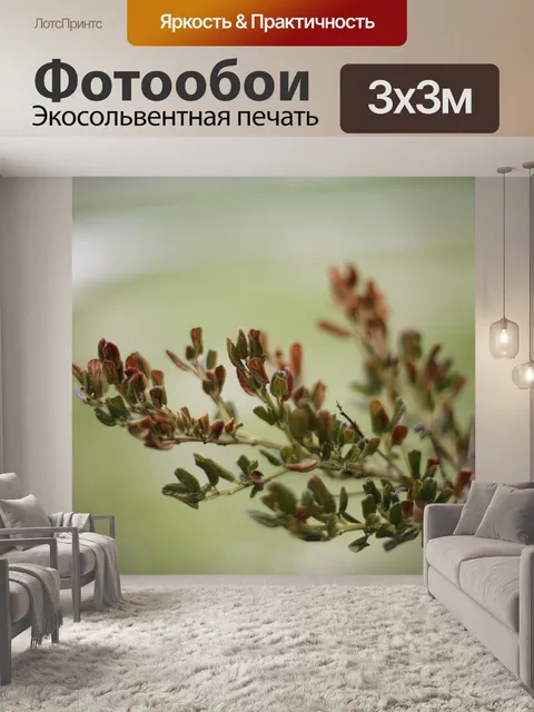 Фотообои Листья