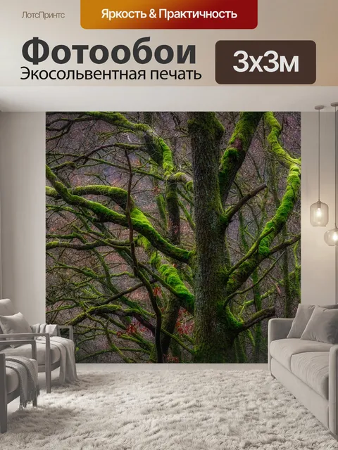 Фотообои Дерево