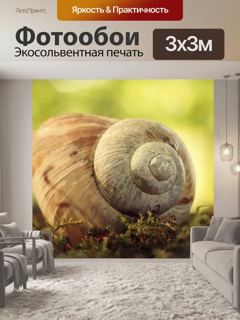 Фотообои Улитка ракушка лесной мох