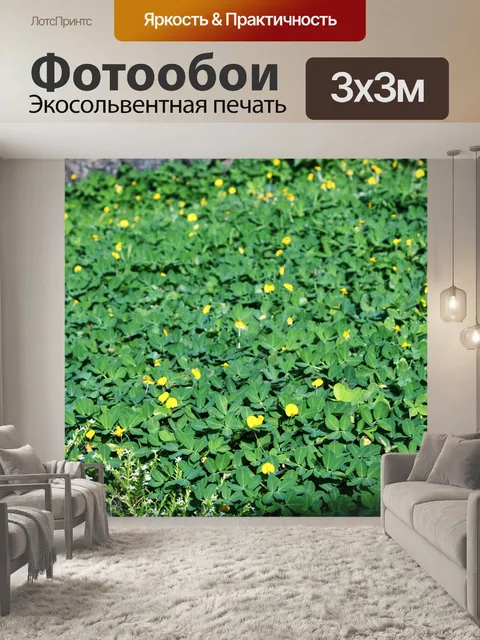 Фотообои листьями и желтыми цветами
