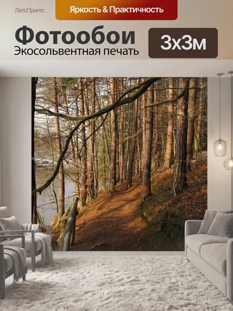Фотообои Лес