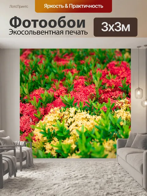 Фотообои Цветы
