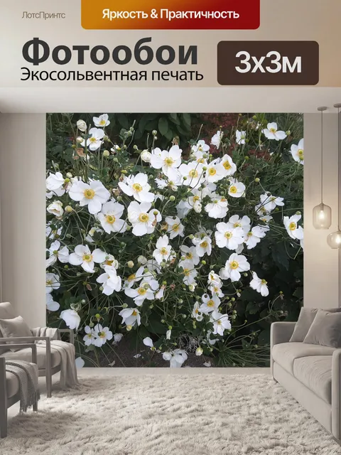 Фотообои много белых цветов