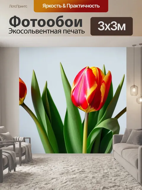 Фотообои тюльпаны в стиле минимализм