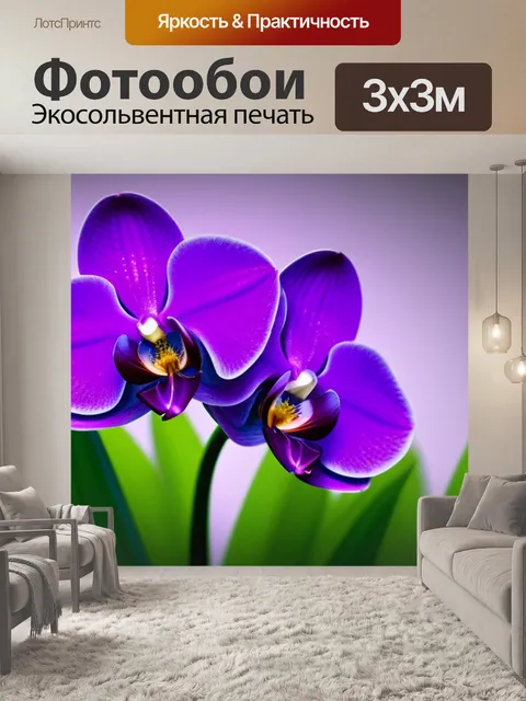 Фотообои с орхидеей минимал