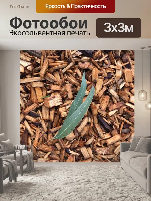 Фотообои Эвкалипт