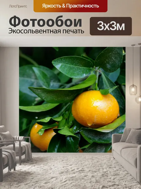 Фотообои Влажные апельсиновые мандарины в саду
