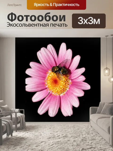 Фотообои Летит