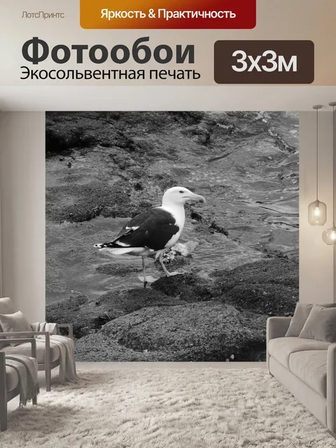 Фотообои Большая чайка