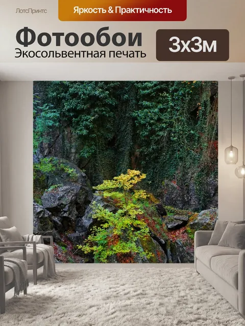 Фотообои Пейзажная фотография скального леса