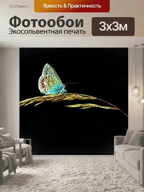 Фотообои Бабочка