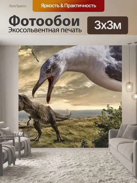 Фотообои Чайка