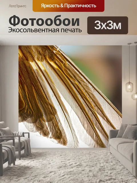Фотообои Крыло