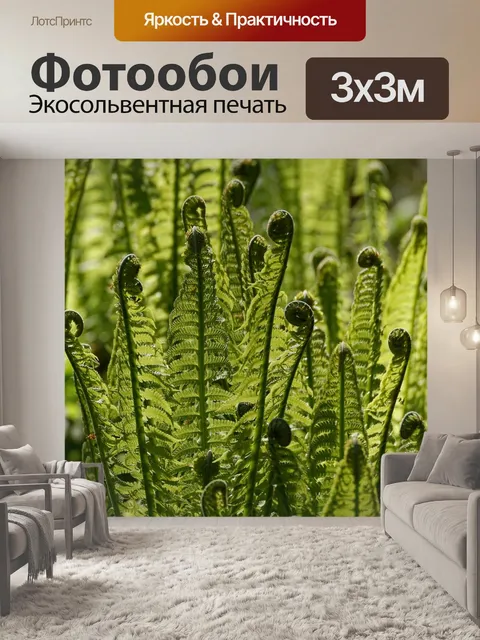 Фотообои Папоротник
