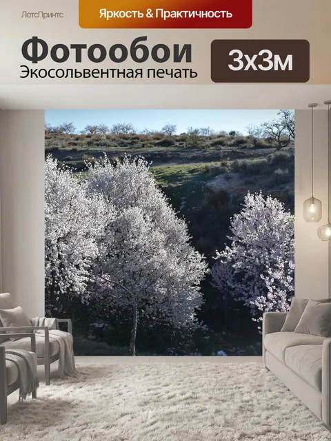 Фотообои Цветы миндаля
