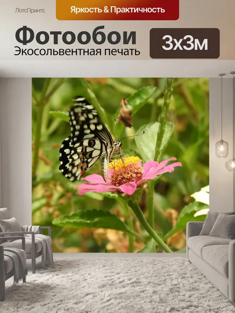 Фотообои Чернить