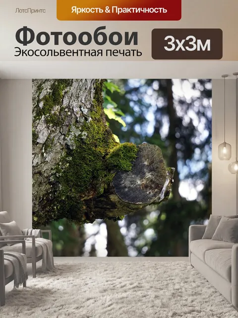 Фотообои Лес