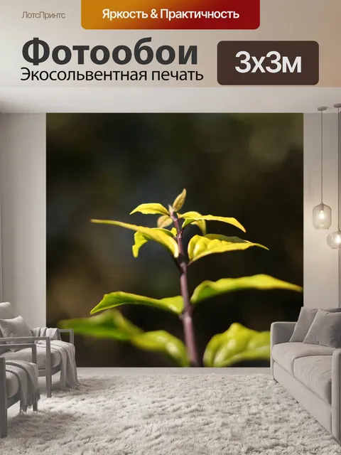 Фотообои Листы